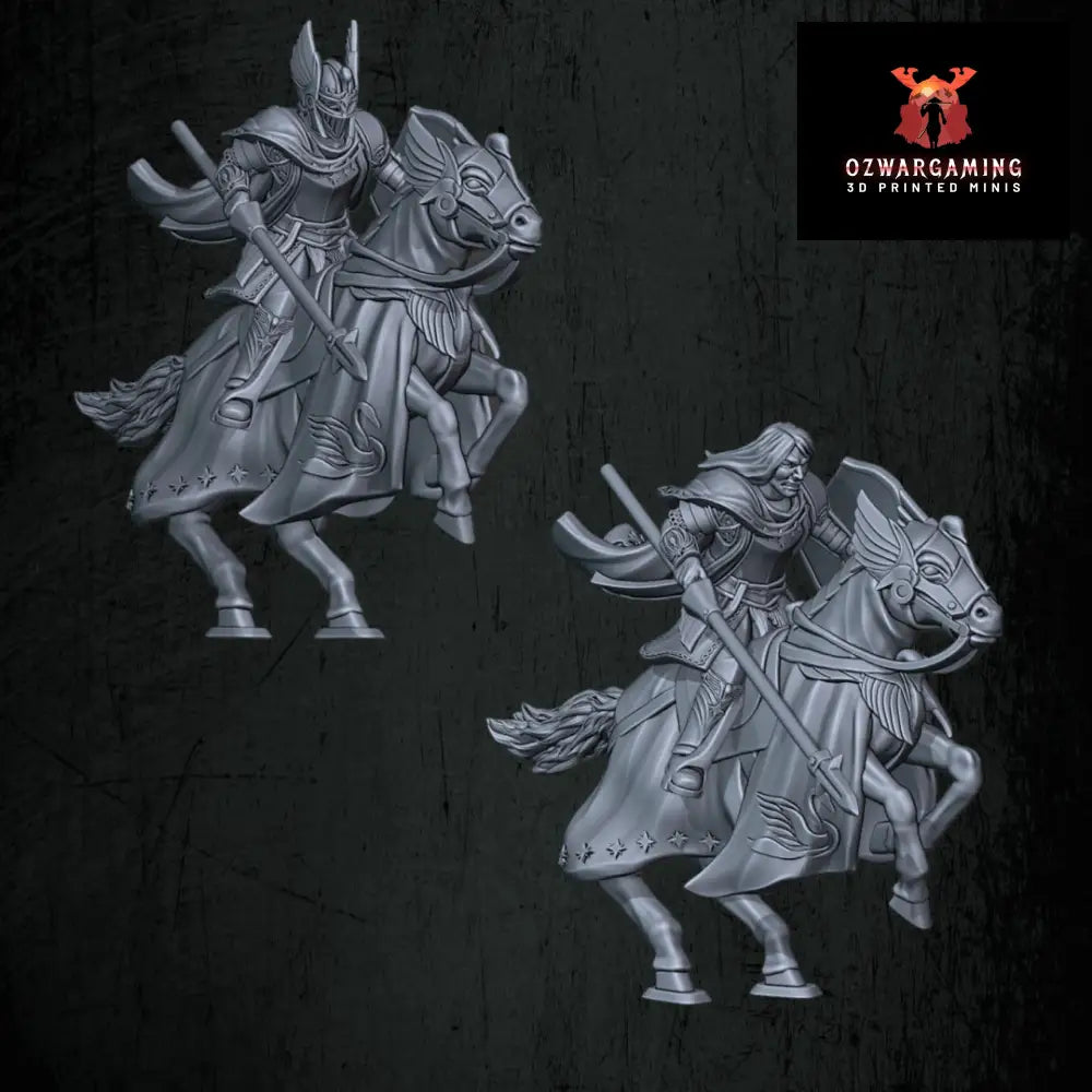 Kingdoms of Men Prince | Quartermaster3D 25mm Fantasy Wargaming Miniatures Role Playing Miniatures