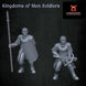 Kingdoms of Men Soldiers | Quartermaster3D 25mm Fantasy Wargaming Miniatures Role Playing Miniatures