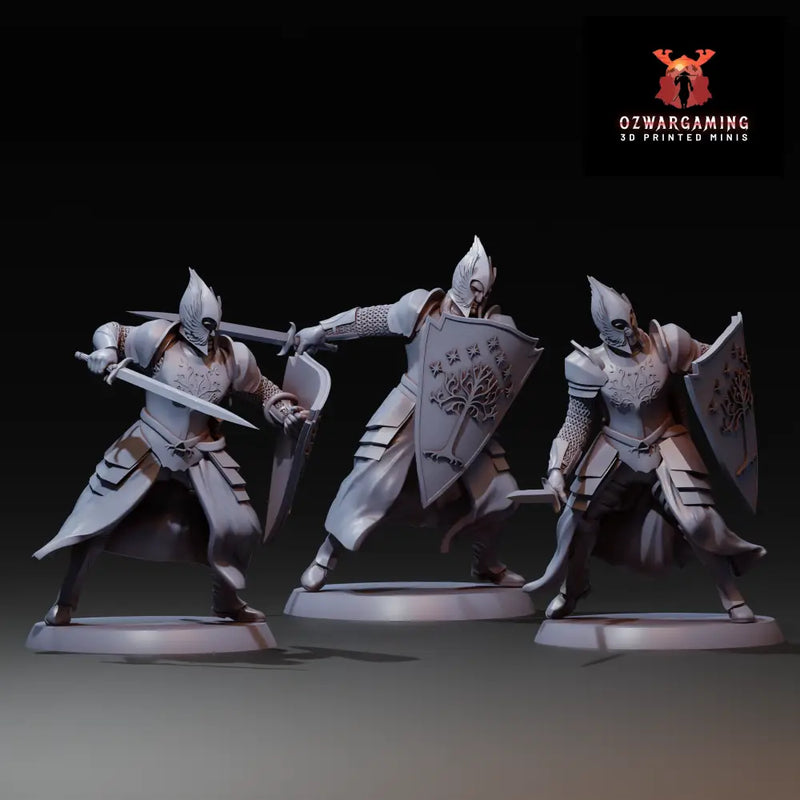 Kings Army Soldiers Shield and Sword | Navarrete Studios 25mm Fantasy Wargaming Miniatures