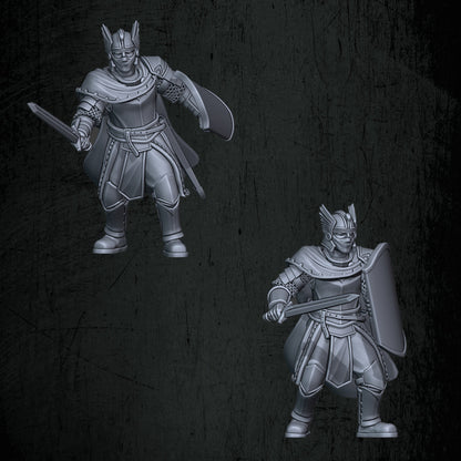 Kingdoms of Men Foot Knights | Quartermaster3D 25mm Fantasy Wargaming Miniatures Role Playing Miniatures