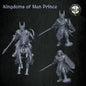 Kingdoms of Men Prince | Quartermaster3D 25mm Fantasy Wargaming Miniatures Role Playing Miniatures