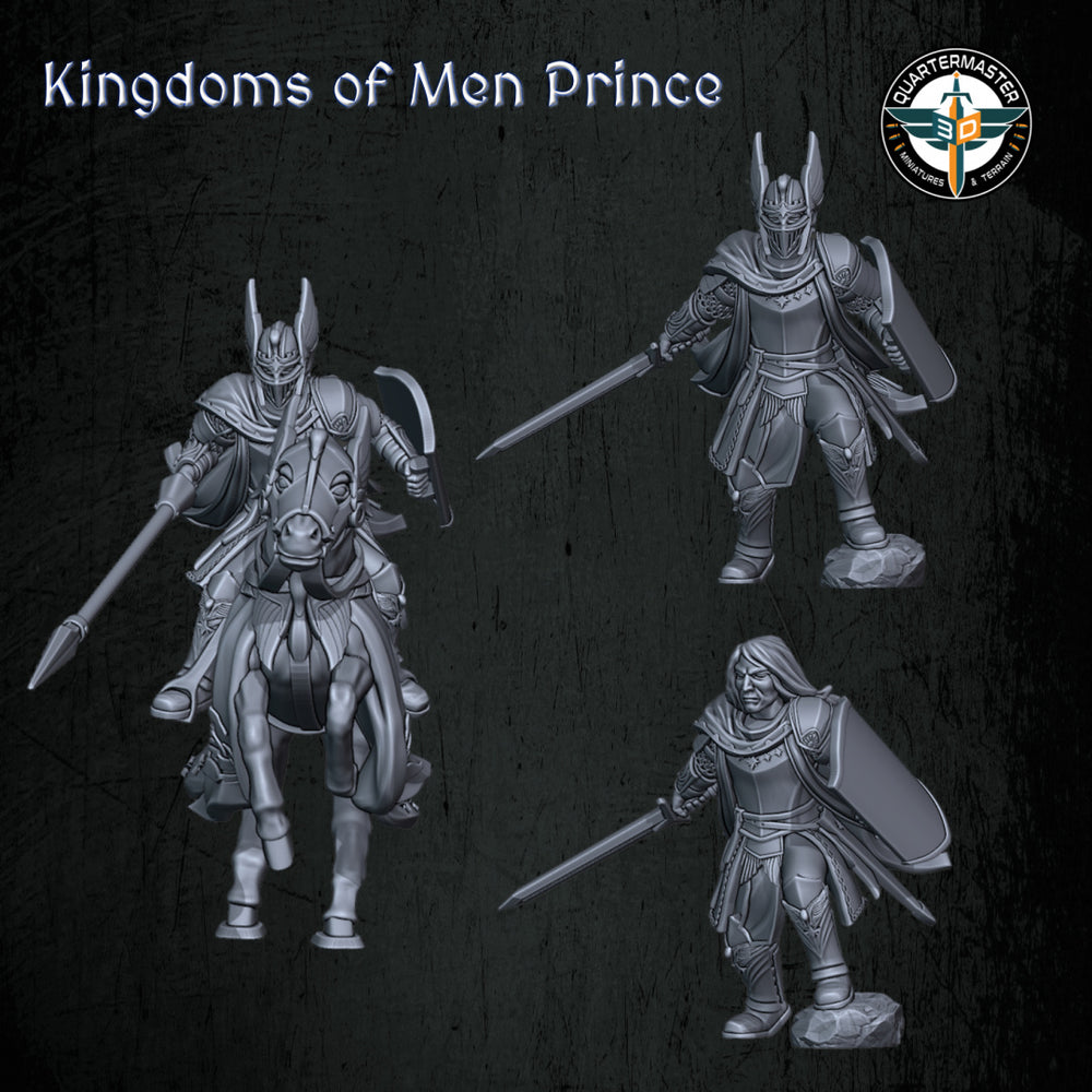 Kingdoms of Men Prince | Quartermaster3D 25mm Fantasy Wargaming Miniatures