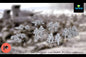 WW2 Japanese Support Weapons | Warbear Studios 28mm Historical Wargaming Miniatures Role Playing Miniatures