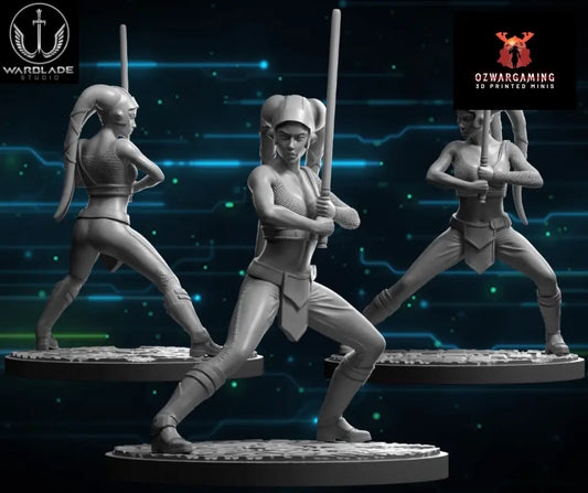Shatter Scale Aayla Secura | Warblade Studios 40mm Miniatures Role Playing Miniatures