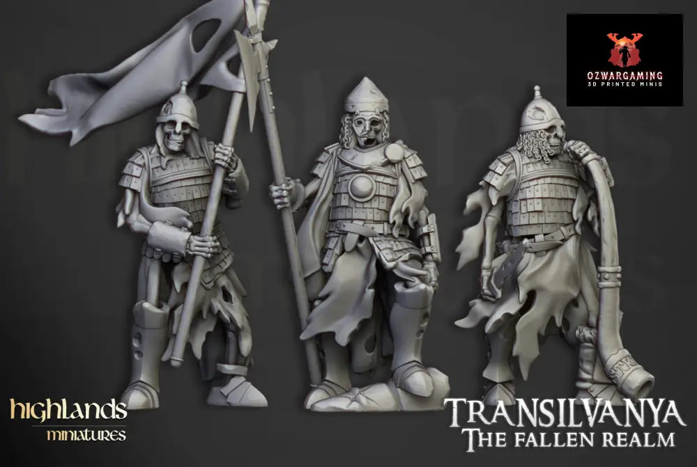 Transilvanya Boyar Guard Spears | Highlands Miniatures 28/32mm Fantasy Wargaming Miniatures Role Playing Miniatures